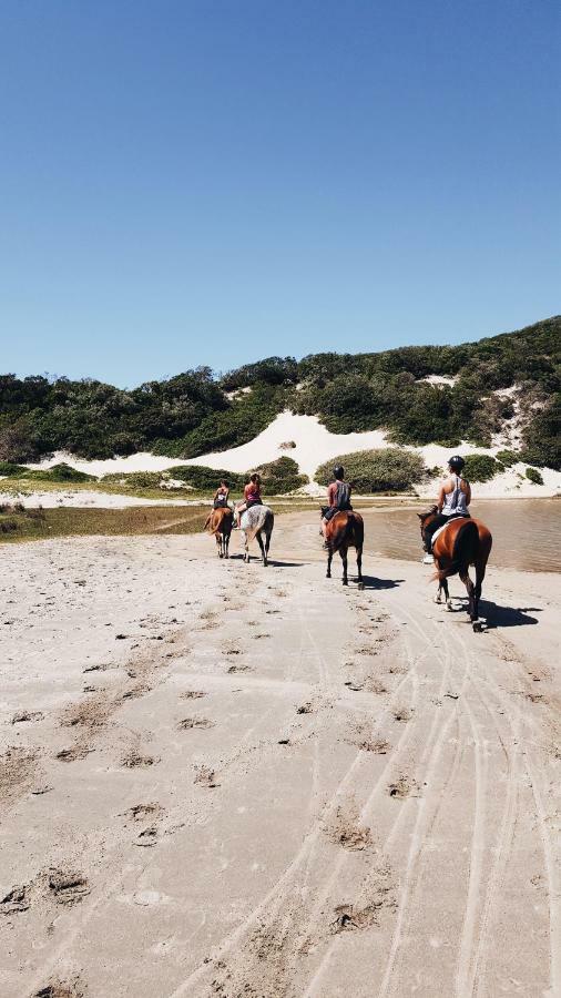 Buccaneers Beach Lodge, Chintsa, South Africa Eksteriør bilde